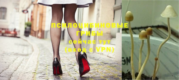 mdpv Нягань