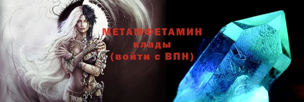 прущие грибы Нязепетровск
