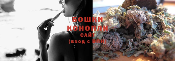 прущие грибы Нязепетровск
