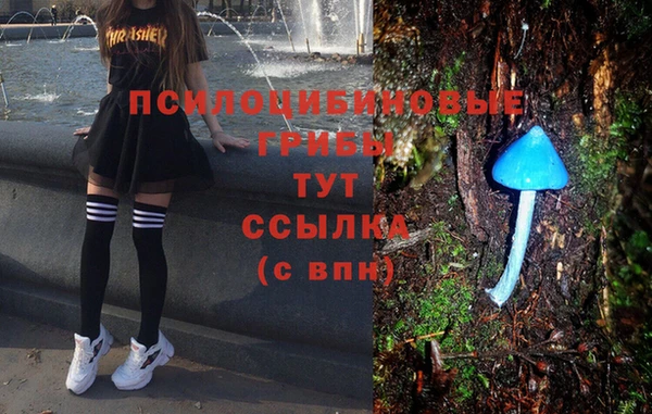 mdpv Нягань
