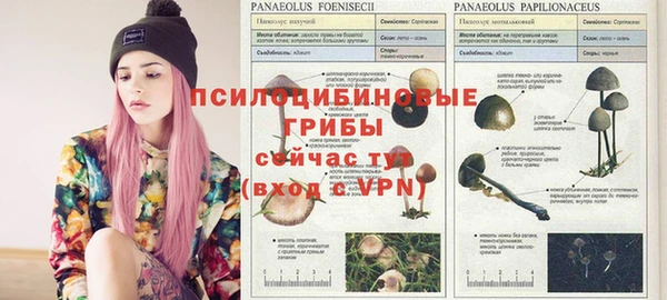 прущие грибы Нязепетровск
