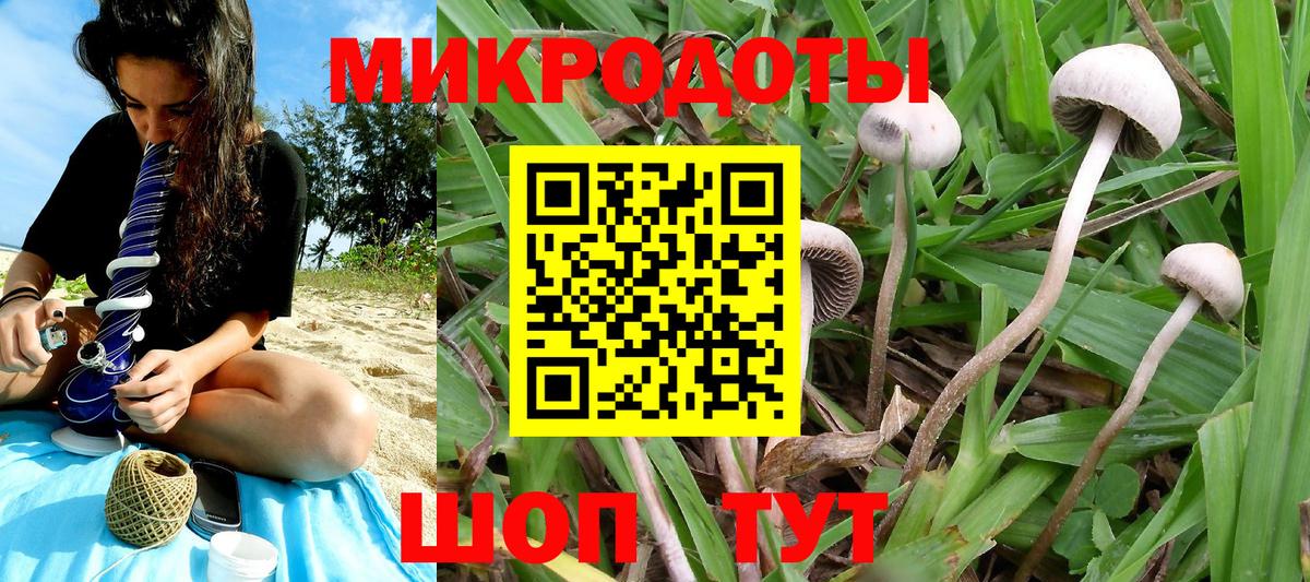 Верхняя Салда  Галлюциногенные грибы мицелий  Вход с VPN 