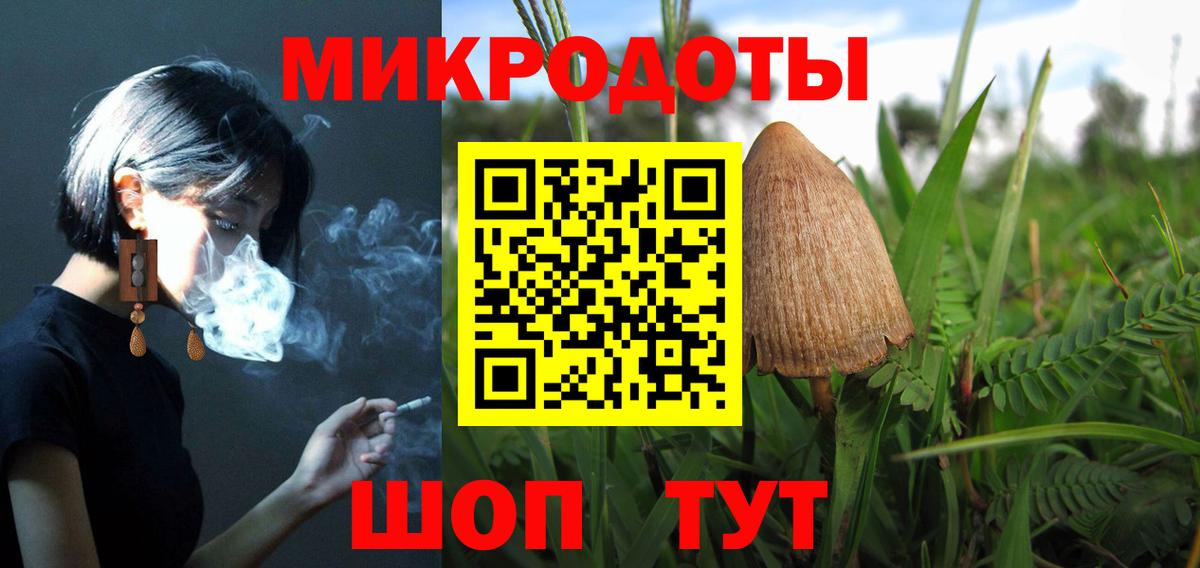 Псилоцибиновые грибы Cubensis Верхняя Салда