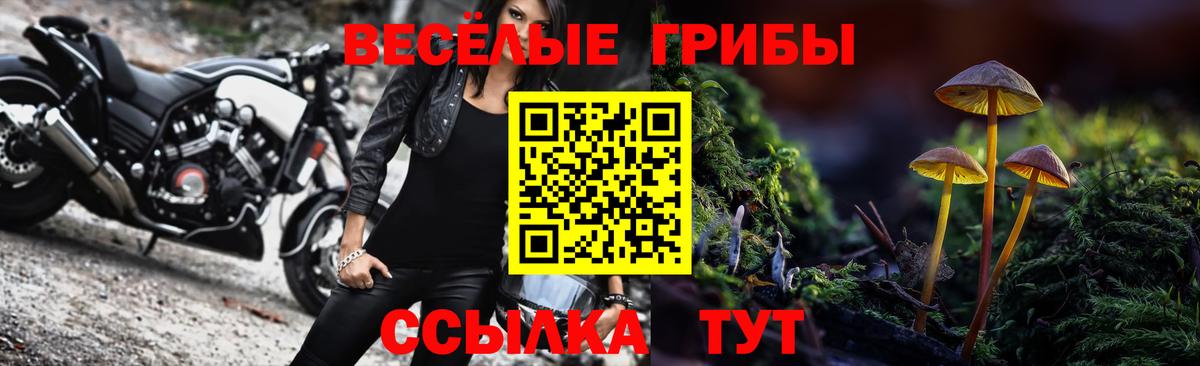 Галлюциногенные грибы прущие грибы  Верхняя Салда 